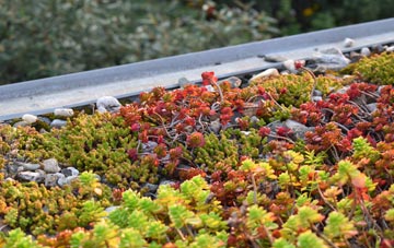 the cost of Dishes green roof installation