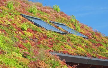 Dishes living roof systems