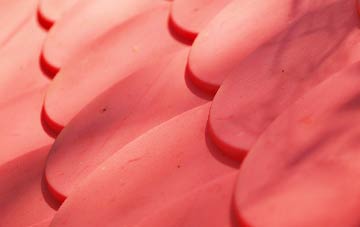 Dishes plastic roof costs