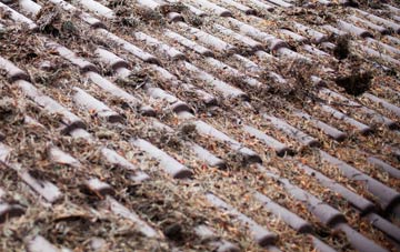 Dishes roof cleaning companies