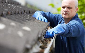 cleaning and inspecting Dishes roofs
