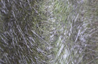 Dishes fibreglass roof work