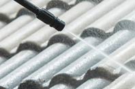 rated Dishes roof cleaning companies